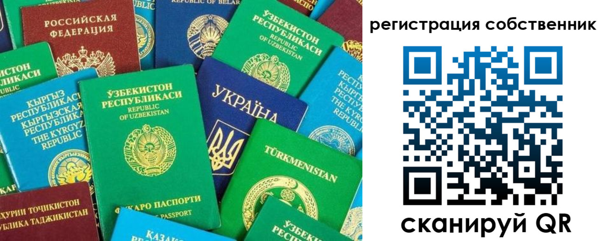 прописка в Михайловске